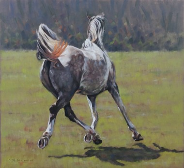 Grey Arab Horse painting