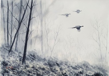 Misty Pheasants