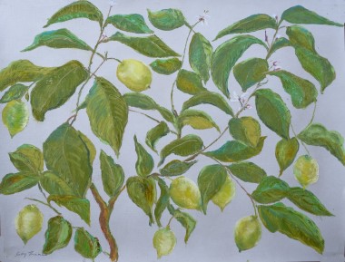 Oil Pastel - Study of Garden Lemons