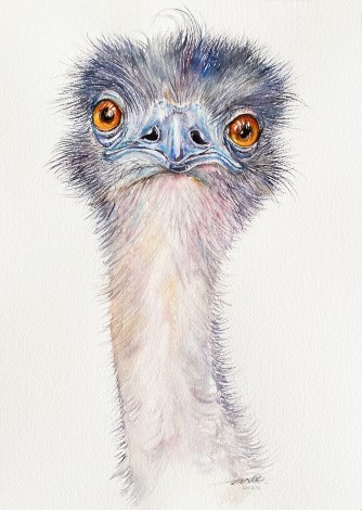 Oliver the Emu