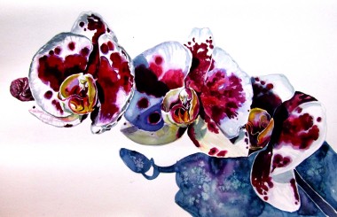 Orchid floral