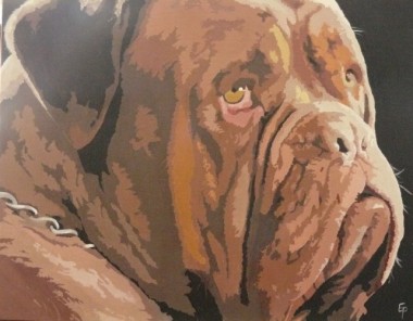 'Hurrumph' Dogue De Bordeaux Portrait
