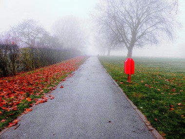 Red Autumn in Danson Park