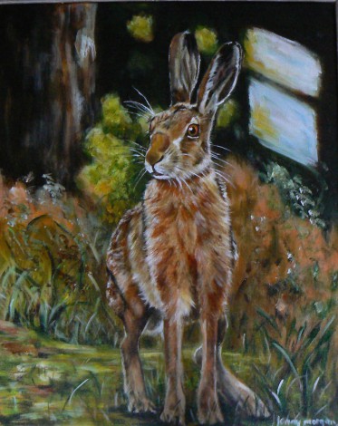 Woodland Hare
