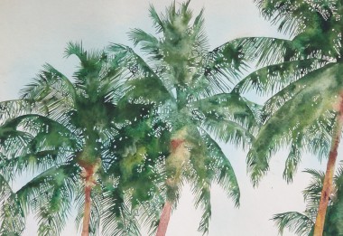Three Palms
