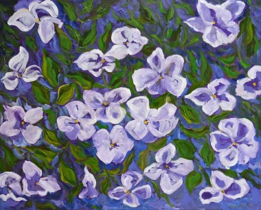 Purple Spring Pansies