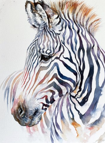 Rainbow Rex Zebra
