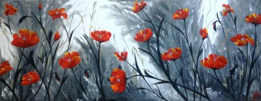 Red Poppies in Panorama