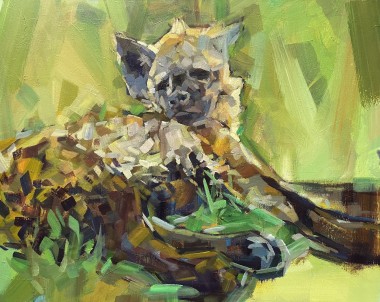 Resting Hyena