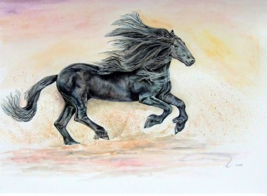 Black horse watercolour painting by UK artist Elizabeth Sadler