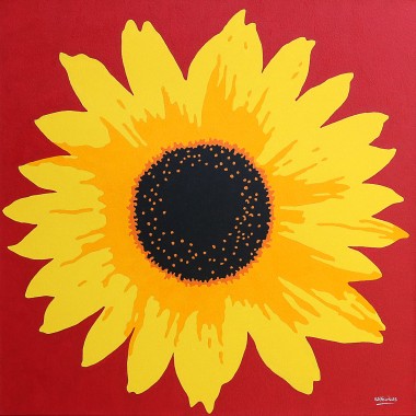 Sunflower on Red