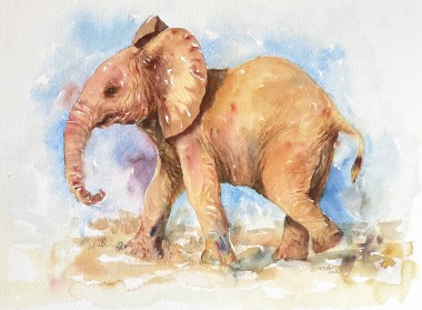 Sienna Sheba Baby Elephant