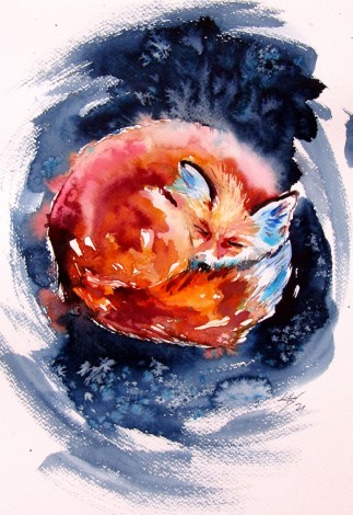 Sleeping red fox