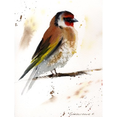 Goldfinch #2