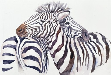 Snuggle time_Zebras