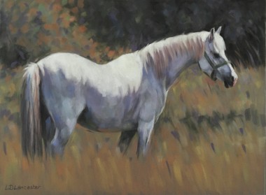 Grey Pony Pastel Painting