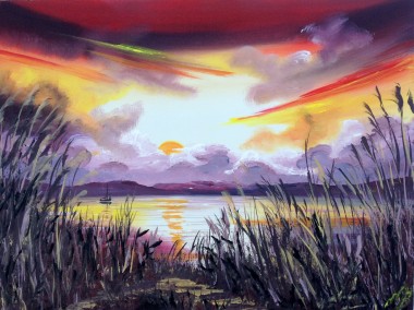 Sunset through the reeds