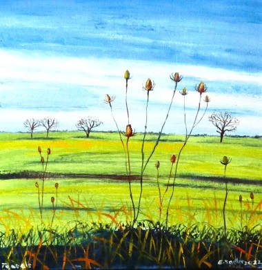 Teasels of the Fens