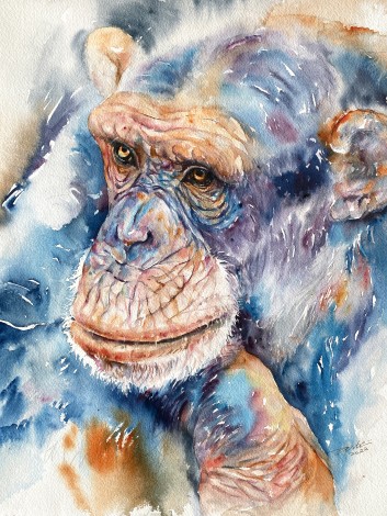 Silent Thoughts Chimpanzee