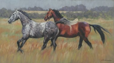 Grey and Bay Horses Cantering in the Field