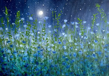 Midnight Garden - Cornflowers