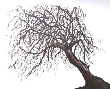 Winter Tree - Essence of the Soul 1