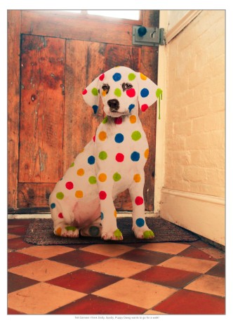 Tell Damien I think Dotty, Spotty, Puppy Dawg wants to go for a walk!
