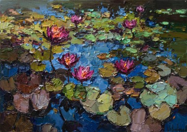 Pink water Lilies