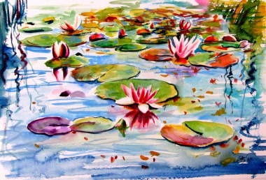 Water Lily II