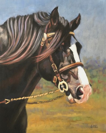 Welsh Cob Stallion Painting