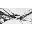 Black and White Marble Abstract