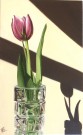Tulip in a Vase