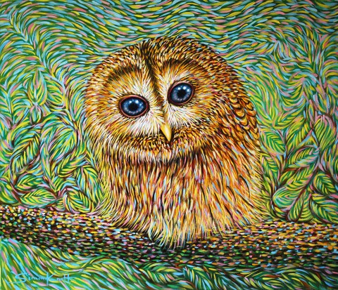Little Tawny Owl