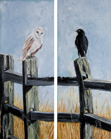 White Owl and Black Raven