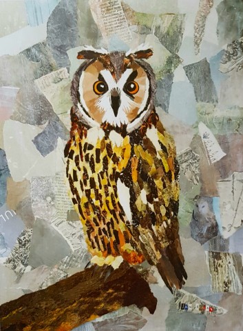 Athena the Owl