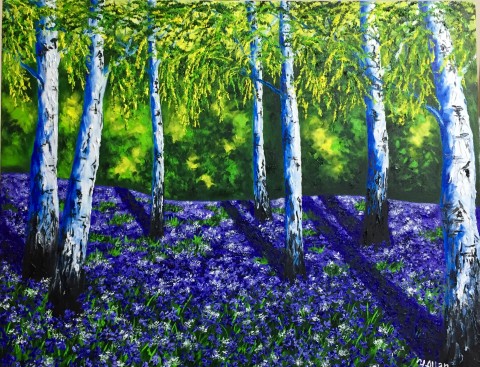 Birch Trees  and Bluebells 