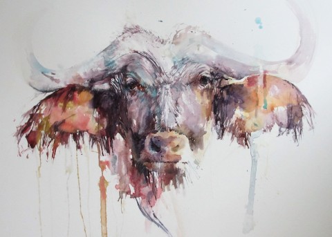 African buffalo in watercolour 
