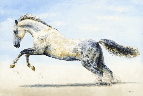 Fine art original oil painting of a beautiful Arabian horse galloping through the desert on a sunny day
