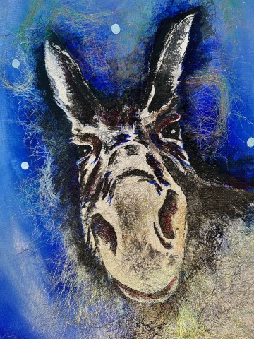 Delirious Donkey (2)