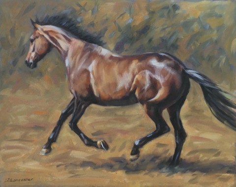 Bay Horse Cantering in Field