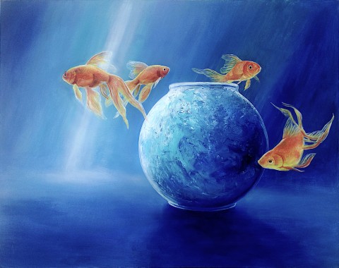 Goldfish XLIII
