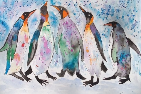 A Colourful Group of Penguins 