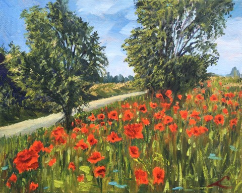 Landscapewith poppies 2