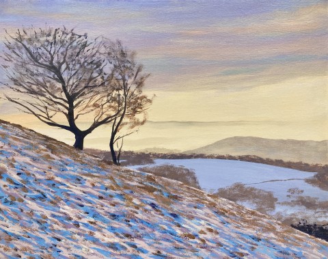 Winter sun in the Malvern Hills