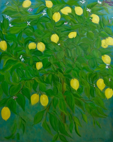 Garden Lemon Tree