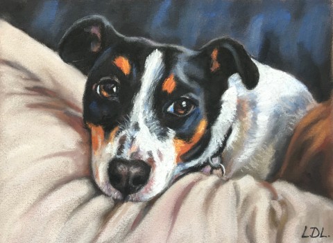 Jack Russell Pastel Painting