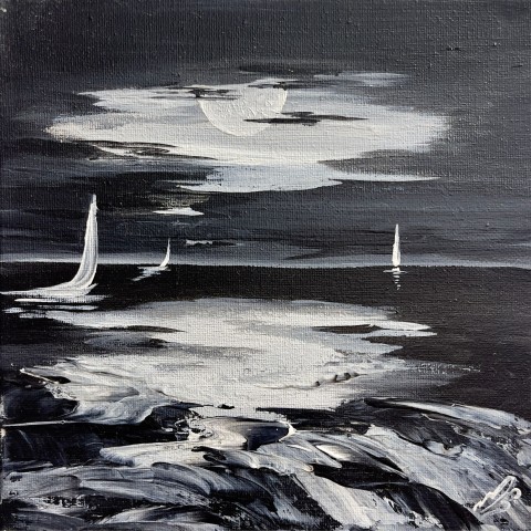 Moonlit voyage in Black and White