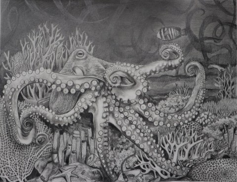 Octopus 'King'