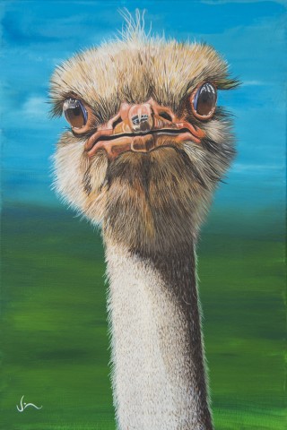 Angry Bird (outraged Ostrich)