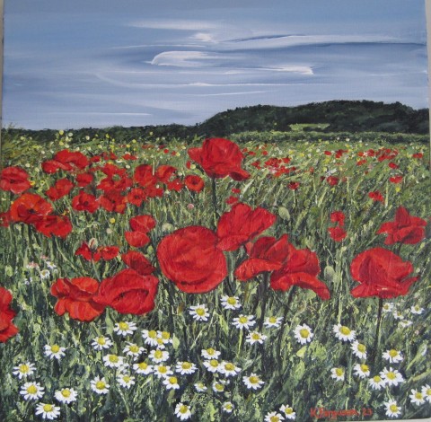 Poppies and chamomiles